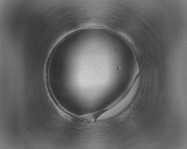 X0000073851430200609071555