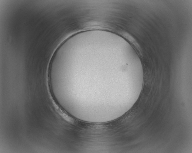 X0000073851431200609071555