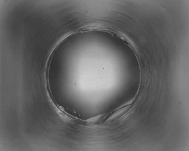 X0000073851434200609071555