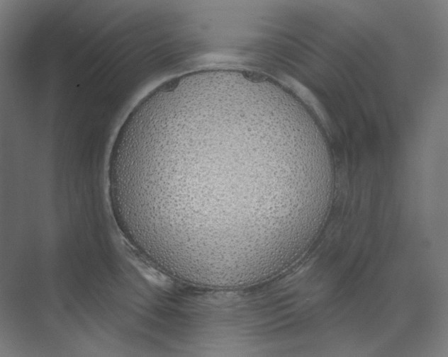 X0000073851435200609071555