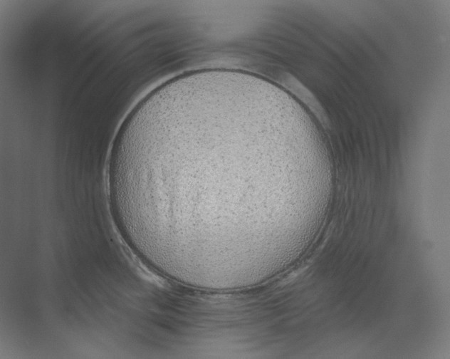 X0000073851436200609071555