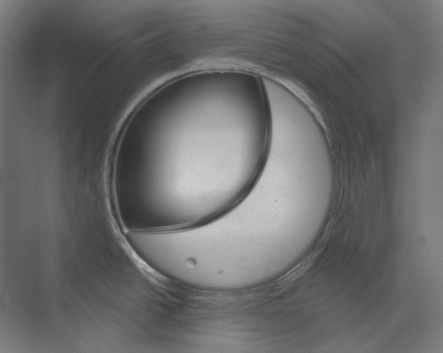 X0000073851438200609071555