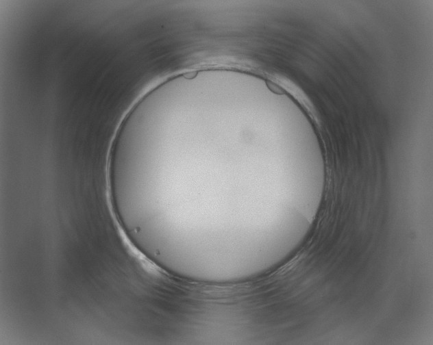 X0000073851439200609071555