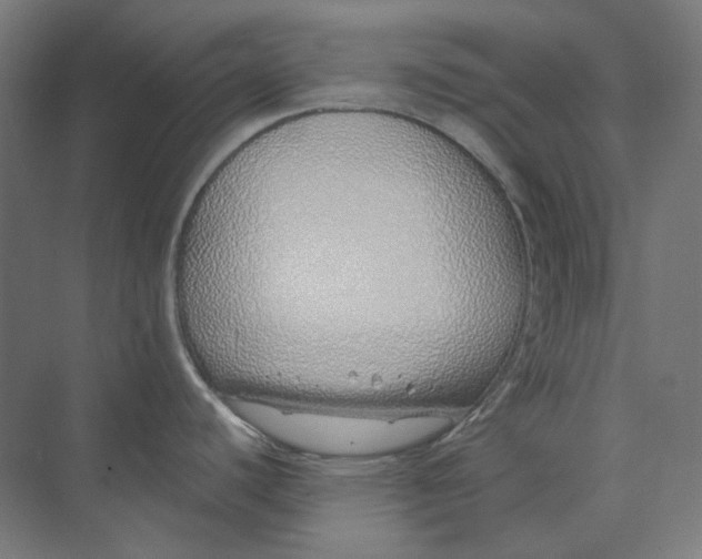 X0000073851440200609071555