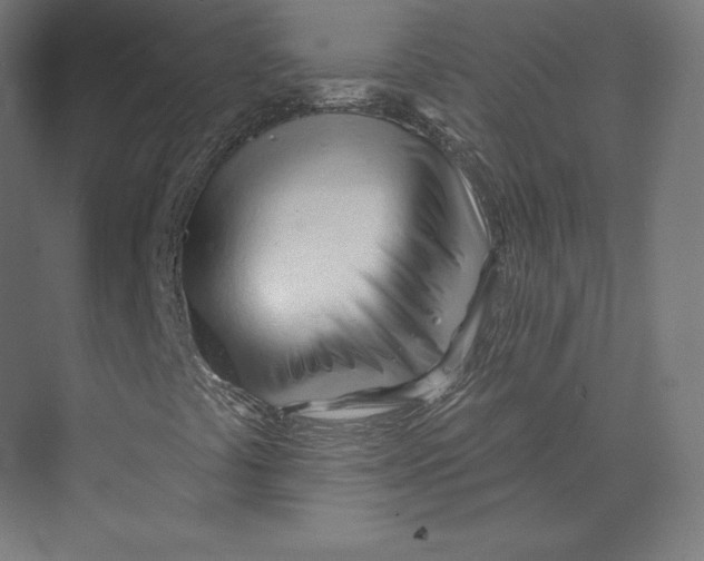 X0000073851441200609071555