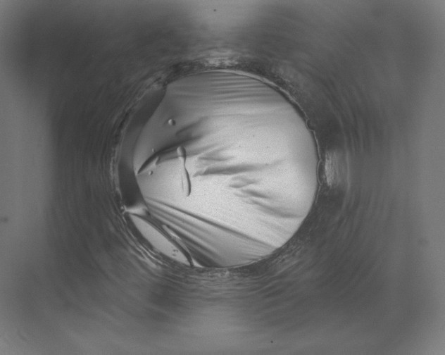 X0000073851444200609071555