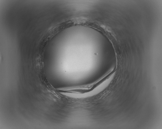 X0000073851445200609071555