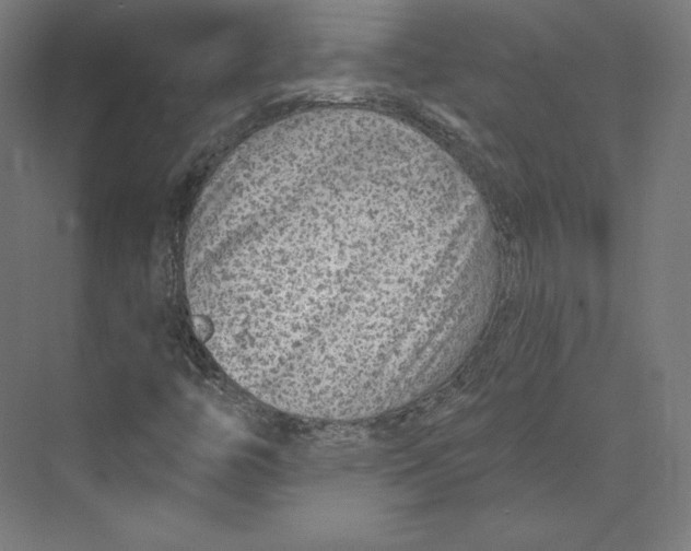 X0000073851446200609071555