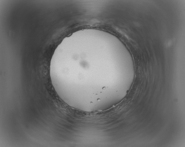 X0000073851447200609071555