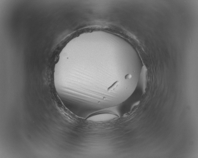 X0000073851448200609071555