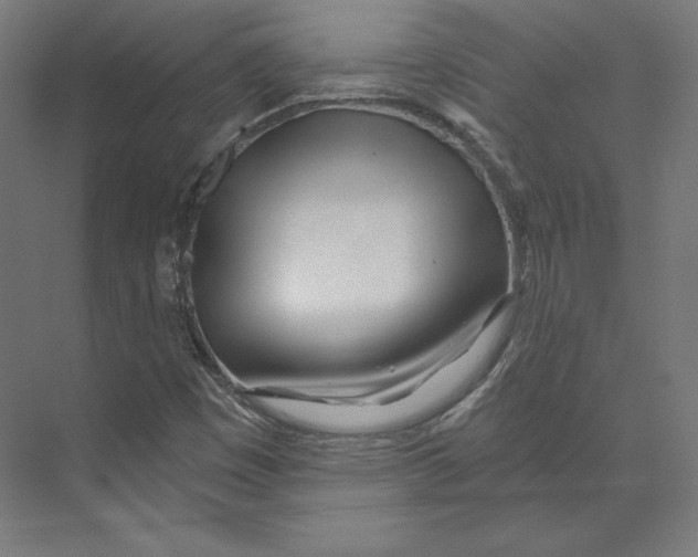 X0000073851449200609071554