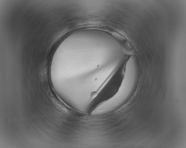 X0000073851450200609071554