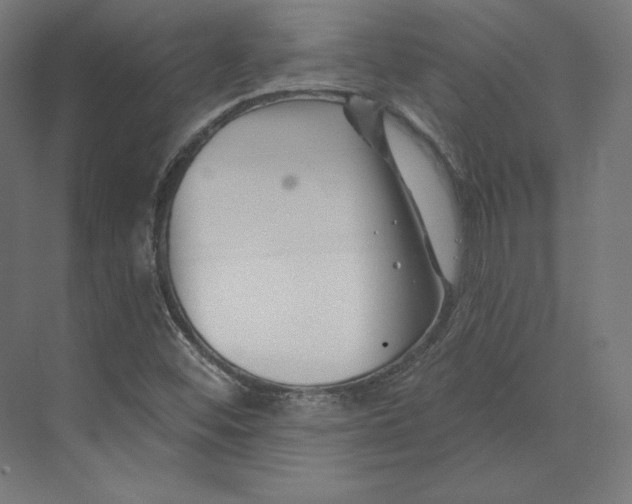 X0000073851452200609071554