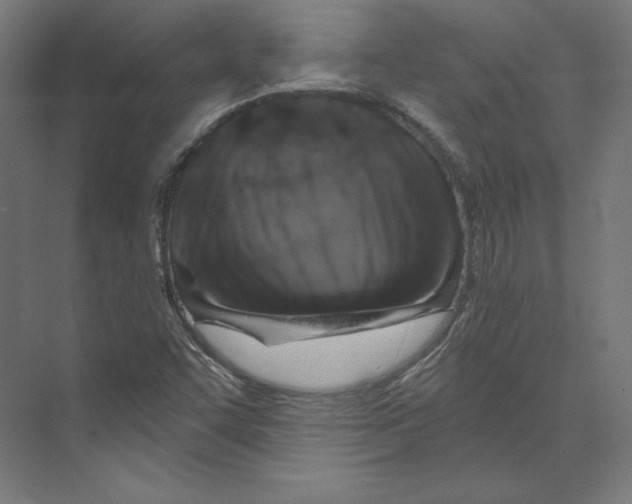 X0000073851455200609071554