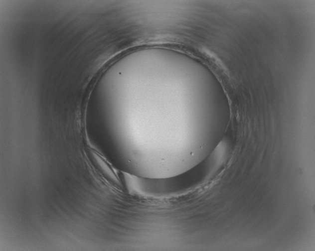 X0000073851457200609071554