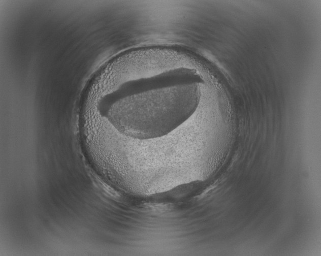 X0000073851459200609071554