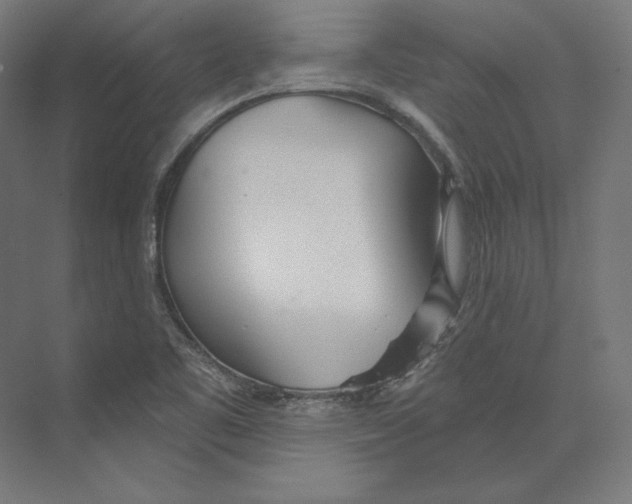 X0000073851461200609071554