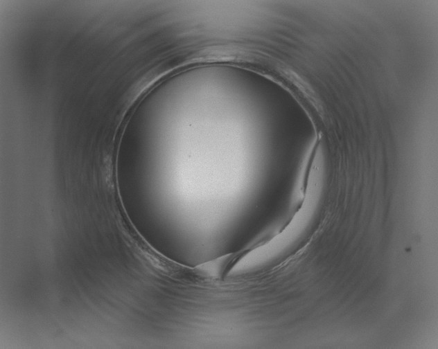 X0000073851465200609071554