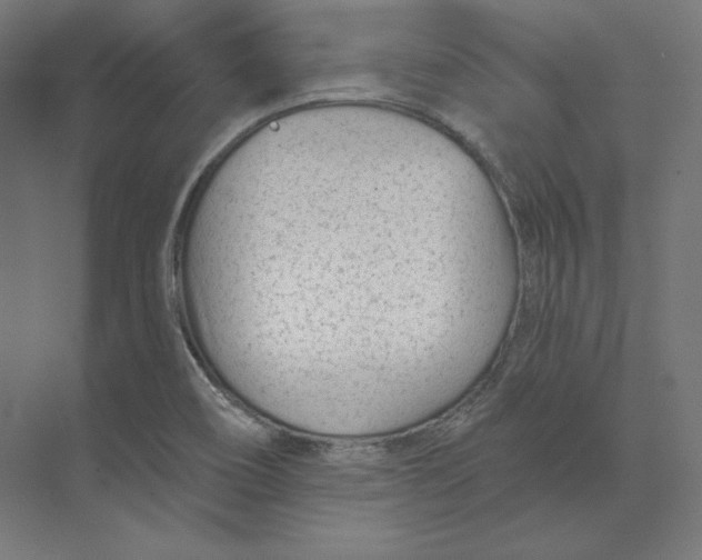 X0000073851466200609071554