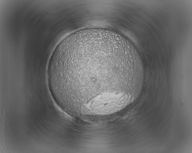 X0000073851471200609071554