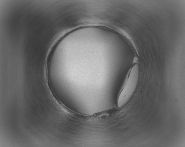 X0000073851472200609071554