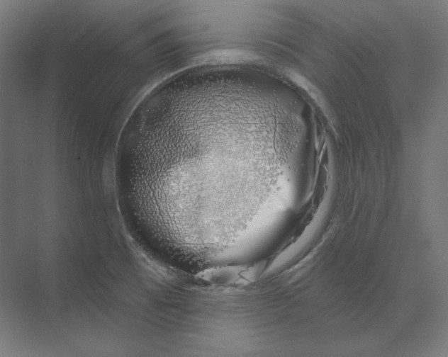 X0000073851473200609071554