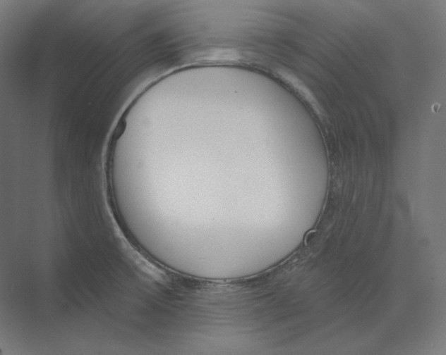 X0000073851475200609071554