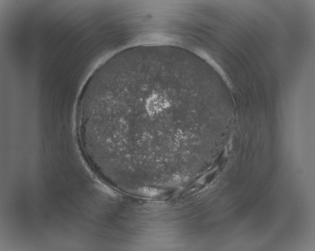 X0000073851477200609071554