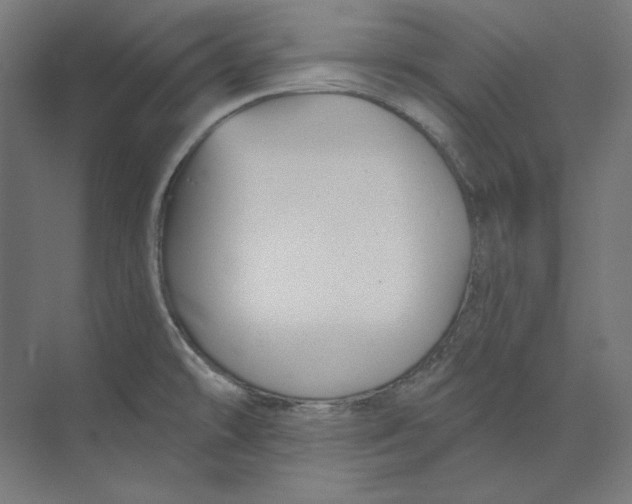 X0000073851478200609071554