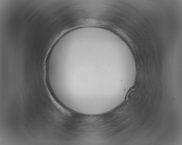 X0000073851479200609071554