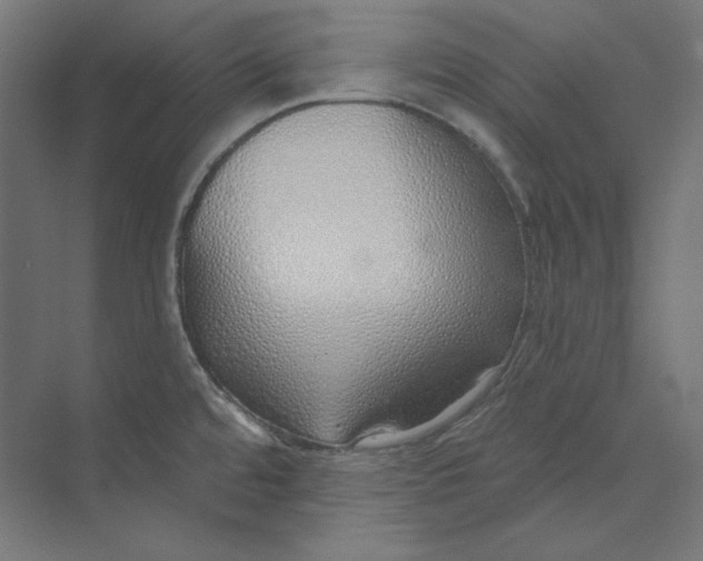 X0000073851480200609071554