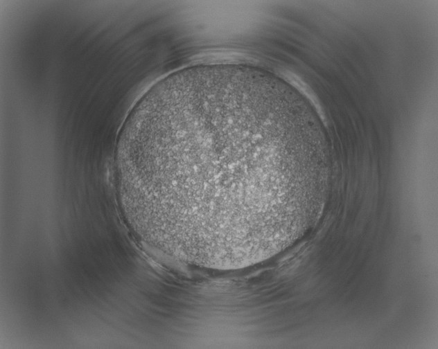 X0000073851481200609071554