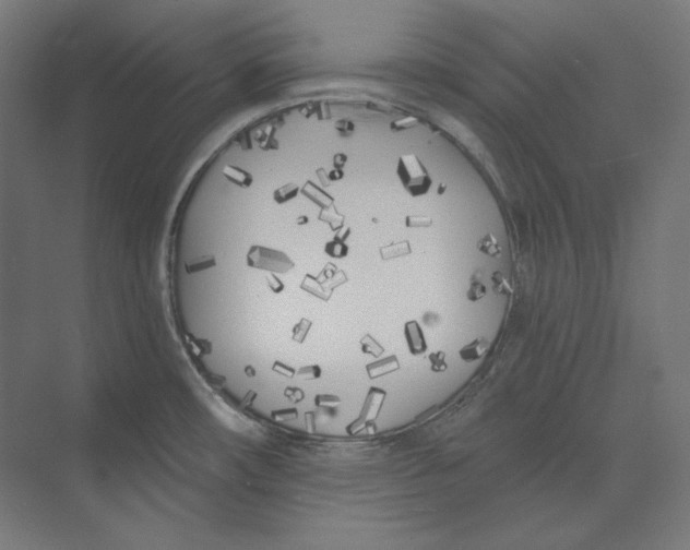 X0000073851482200609071554