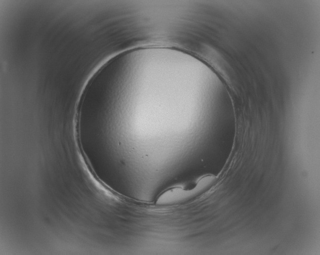 X0000073851484200609071554