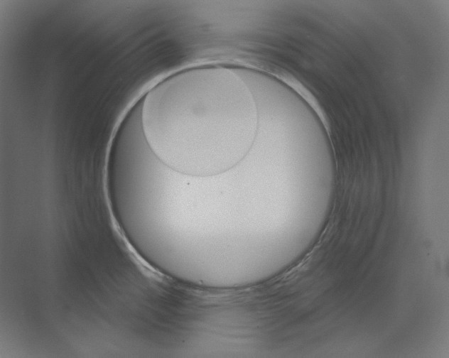 X0000073851485200609071554