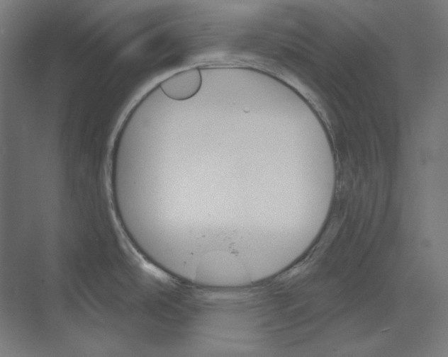 X0000073851486200609071554