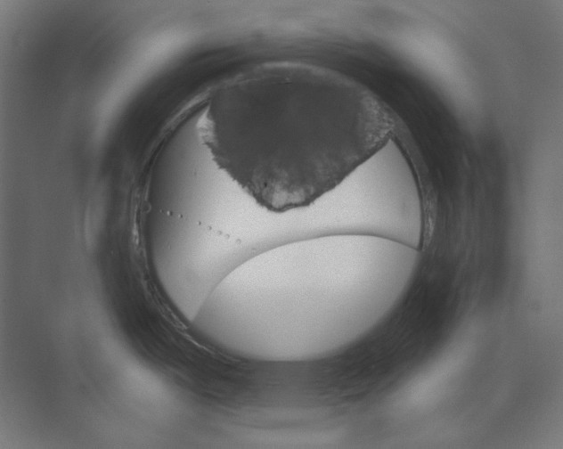 X0000073851487200609071554