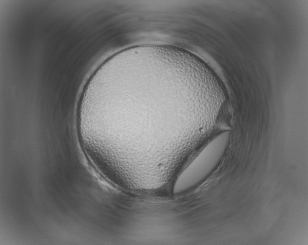 X0000073851488200609071554