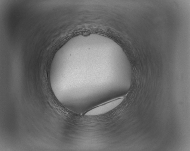 X0000073851489200609071553