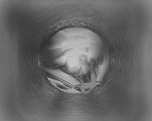 X0000073851490200609071553