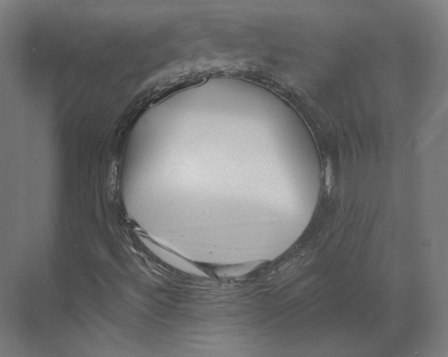 X0000073851492200609071553