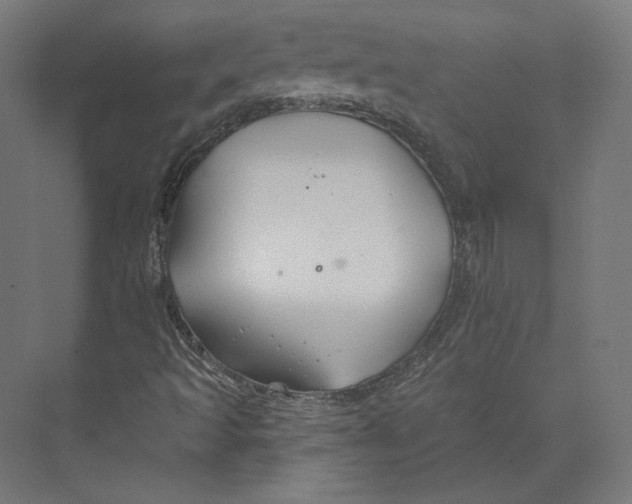 X0000073851493200609071553