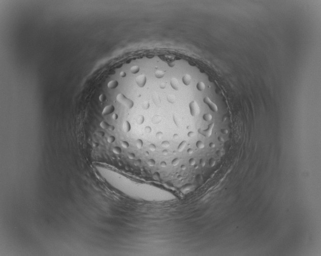 X0000073851494200609071553