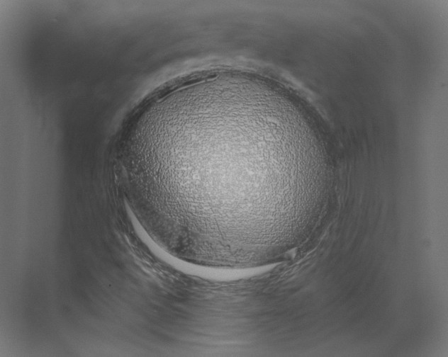 X0000073851496200609071553