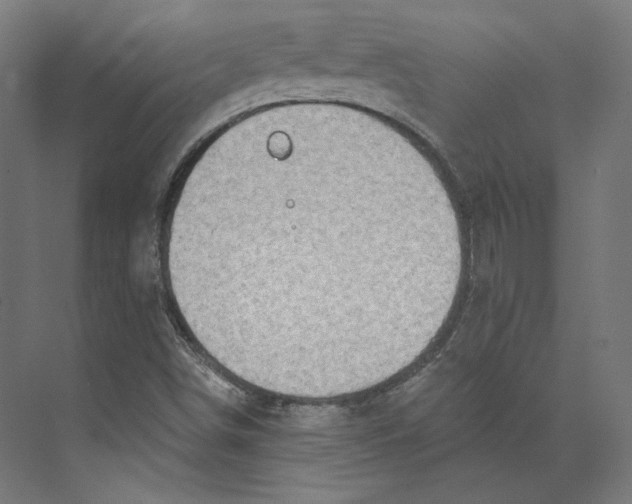 X0000073851498200609071553