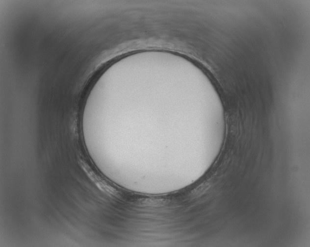 X0000073851499200609071553