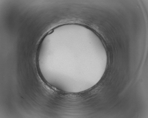 X0000073851500200609071553