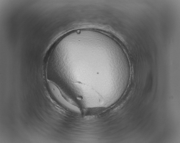 X0000073851501200609071553