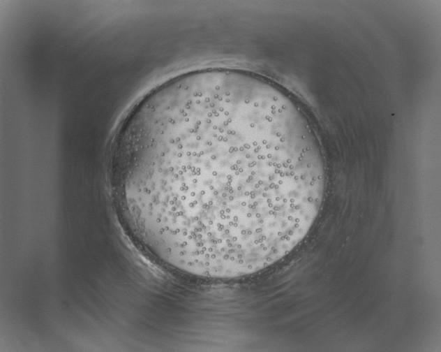 X0000073851504200609071553