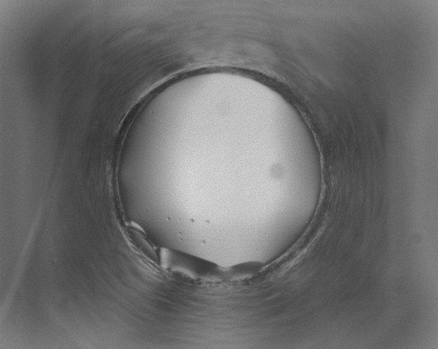 X0000073851505200609071553